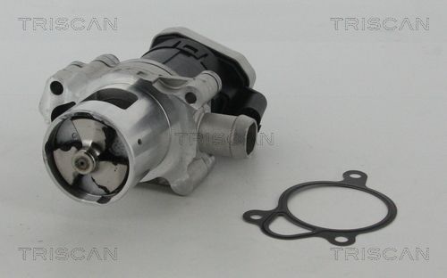 Zawór AGR TRISCAN 8813 23010