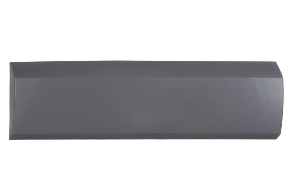 Ehis-/kaitseliist,külg