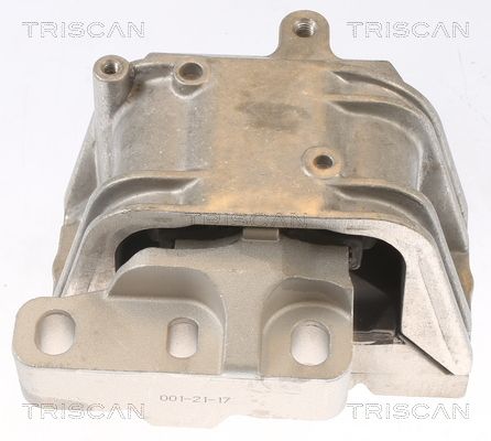 Suport motor TRISCAN 8505 29127