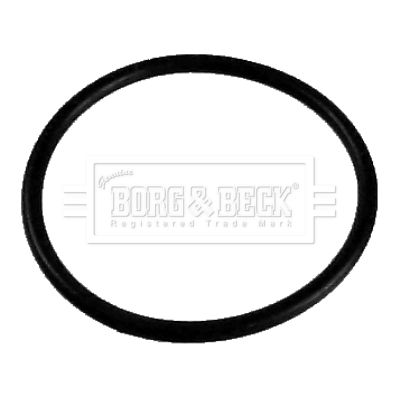 Termostat, środek chłodzący BORG & BECK BG062
