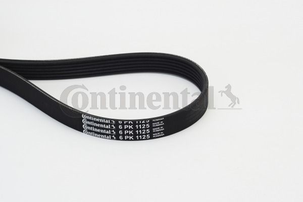 Pasek klinowy wielorowkowy CONTINENTAL CTAM 6PK1125