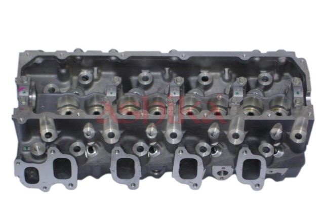 Chiulasa ASHIKA TY005S