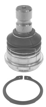 Przegub mocujący / prowadzący BORG & BECK BBJ5646