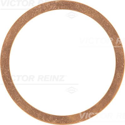 Garnitura, chiulasa VICTOR REINZ 41-70580-00