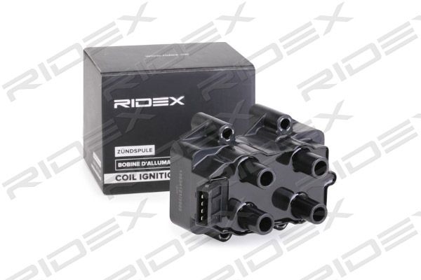 Cewka zapłonowa RIDEX 689C0300