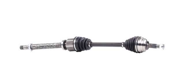 Planetara MTR 12164040