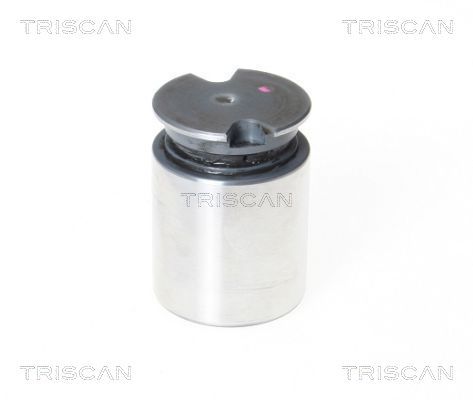 Tłoczek, zacisk hamulca TRISCAN 8170 233634