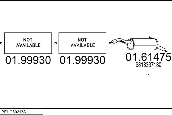 Układ wydechowy MTS PEUG69217A111916