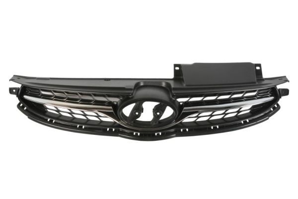 Grila radiator BLIC 6502-07-3171991P