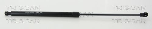 Amortizor portbagaj TRISCAN 8710 11241