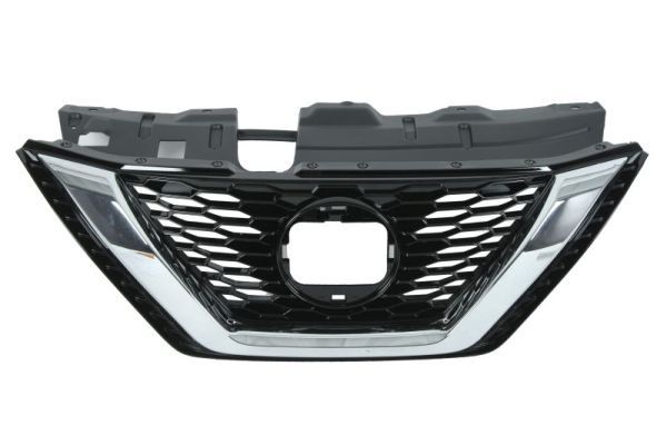 Grila radiator BLIC 6502-07-1617997P