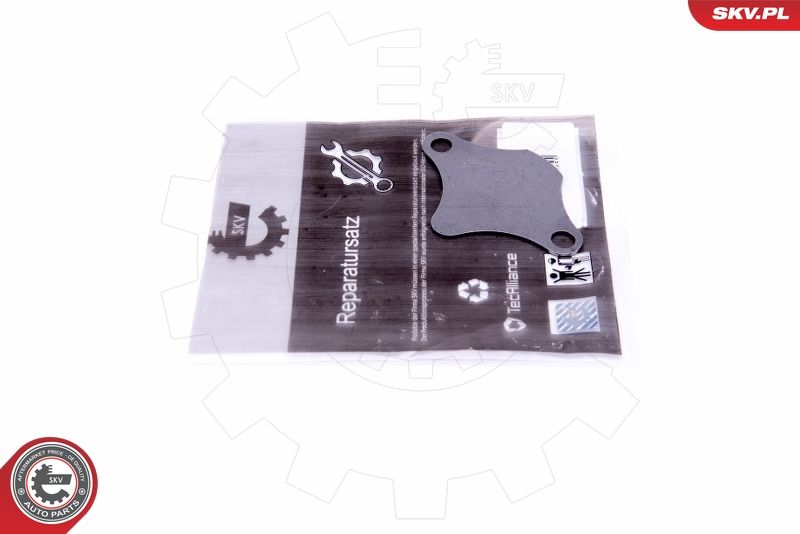 Set de reparație, supapă AGR ESEN SKV 14SKV520