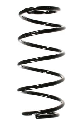 Arc spiral SPIDAN 48511