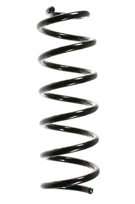 Arc spiral SPIDAN 49512