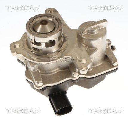 Zawór AGR TRISCAN 881329119