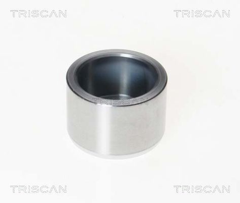 Tłoczek, zacisk hamulca TRISCAN 8170 231583
