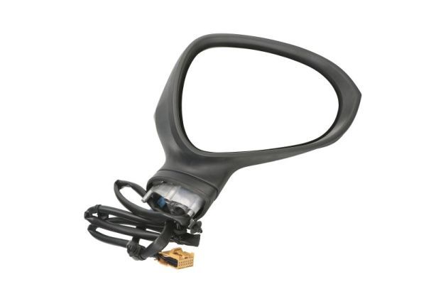 Oglinda exterioara BLIC 5402-10-2002278P