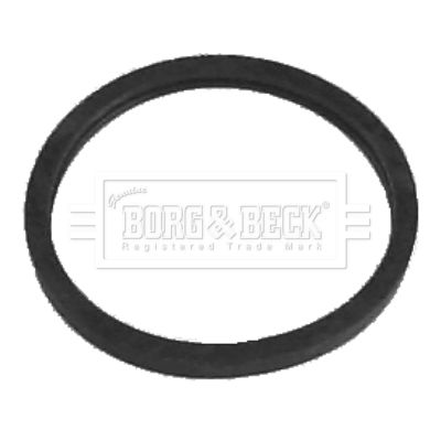 Termostat, środek chłodzący BORG & BECK BG022
