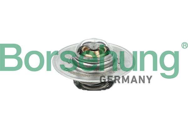 termostat,lichid racire BORSEHUNG B18280