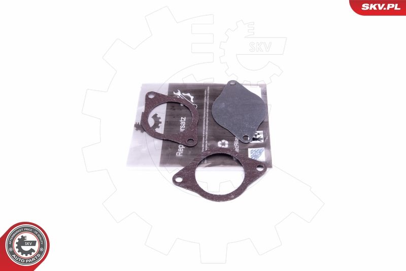 Set de reparație, supapă AGR ESEN SKV 14SKV574