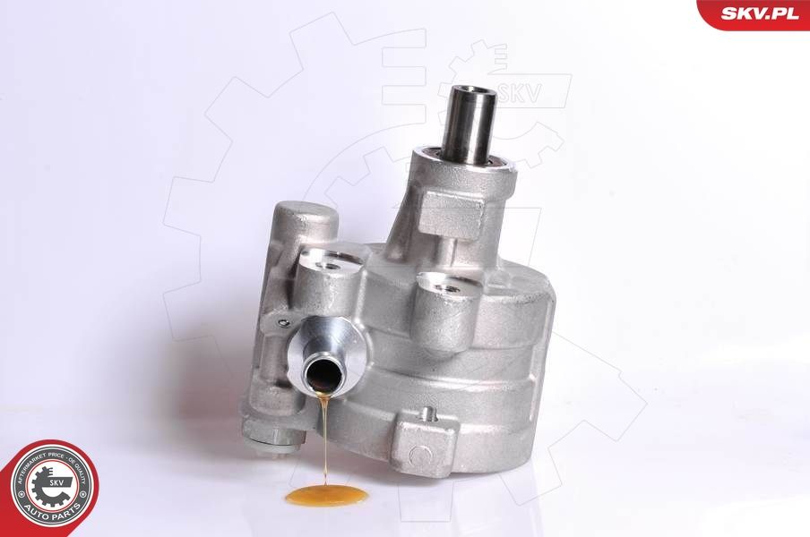 Pompa hydrauliczna, układ kierowniczy ESEN SKV 10SKV180