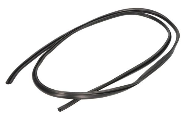 Elemente decorative/protectie, parbriz BLIC 5703-04-6037832Q