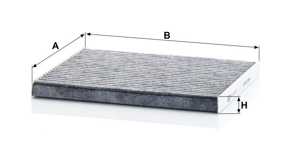 Filtrs, Salona telpas gaiss