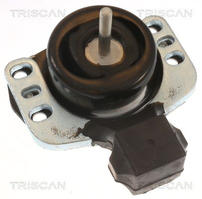 Łożyskowanie silnika TRISCAN 8505 10118
