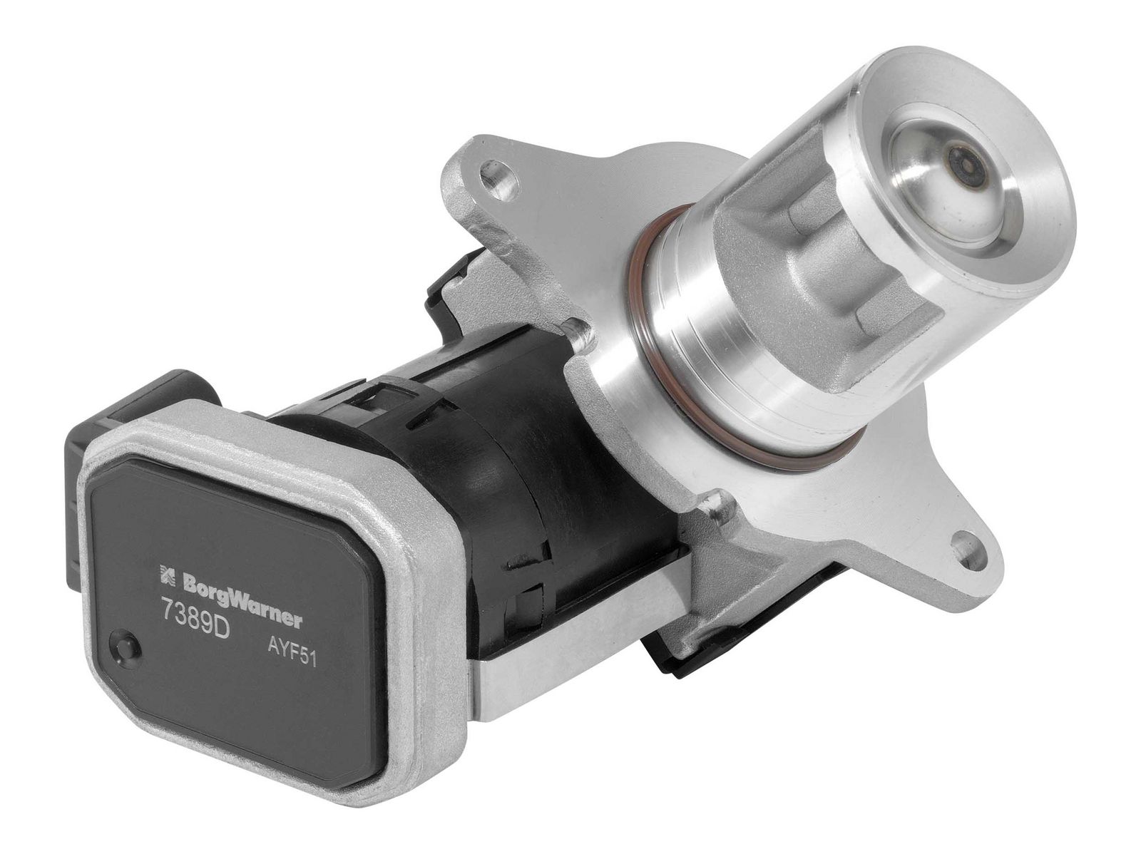 Zawór AGR BORGWARNER 7389D