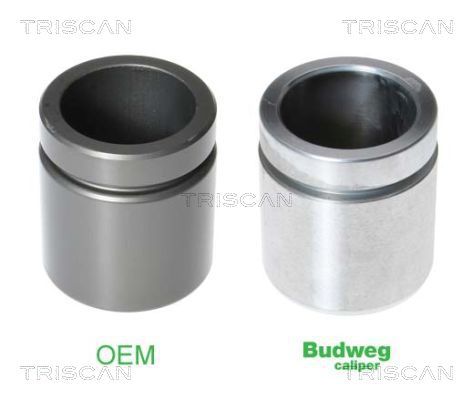 Tłoczek, zacisk hamulca TRISCAN 8170 234517