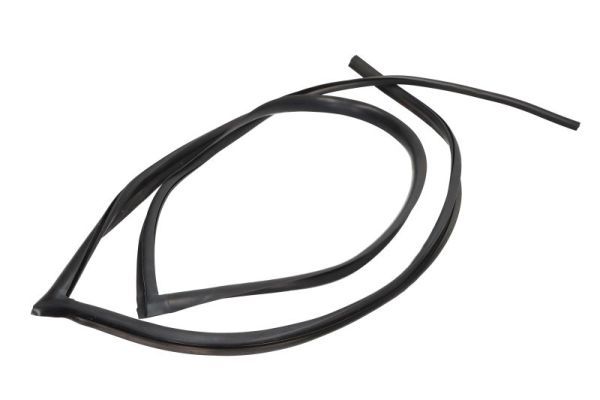 Elemente decorative/protectie, parbriz BLIC 5703-04-6037584Q