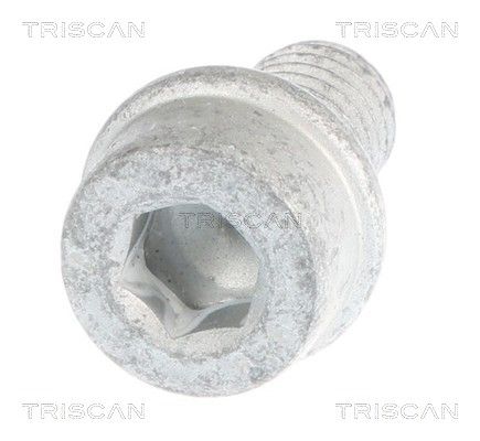 TRISCAN 85010518