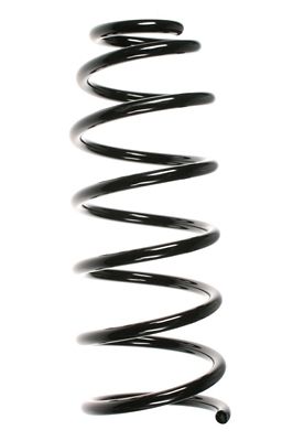 Arc spiral SPIDAN 49130