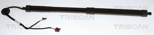 TRISCAN 871025302