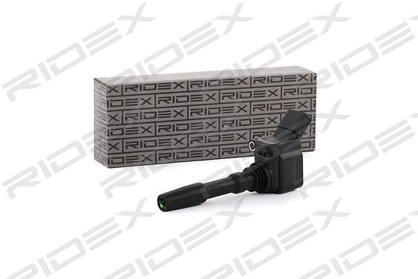 Cewka zapłonowa RIDEX 689C0031