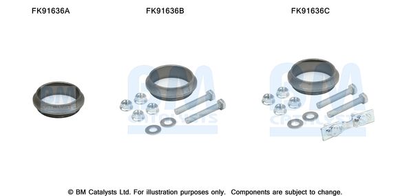 Zestaw montażowy, katalizator BM CATALYSTS FK91636