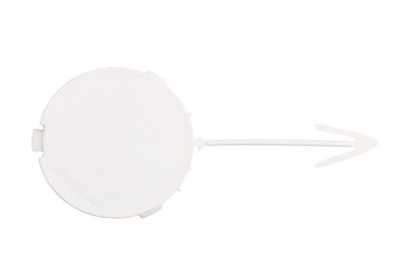 acoperire tampon,sistem de remorcare BLIC 5513-00-2508971P