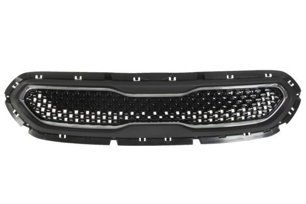 Grille de radiateur