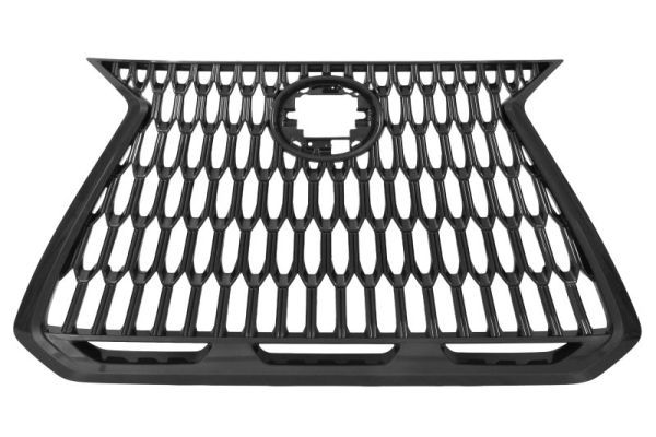 Grila radiator BLIC 6502-07-8268994P