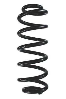 Arc spiral SPIDAN 87953