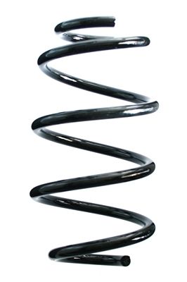 Arc spiral SPIDAN 86974