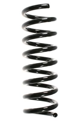 Arc spiral SPIDAN 55726