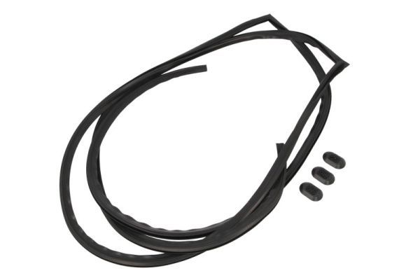 Garnitura, parbriz BLIC 5703-04-6037256Q
