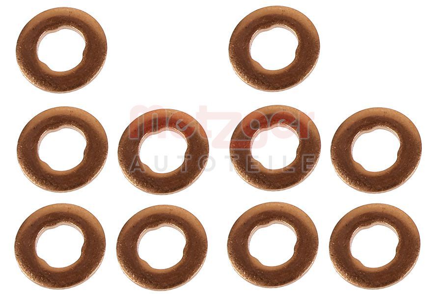 Kaitseseib,sissepritsesüsteem