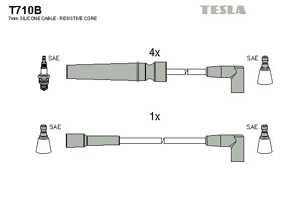 Set cablaj aprindere TESLA T710B