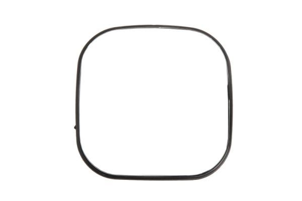 Oglinda exterioara PACOL MER-MR-041