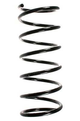 Arc spiral SPIDAN 55173