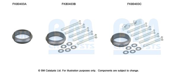 Zestaw montażowy, katalizator BM CATALYSTS FK80403