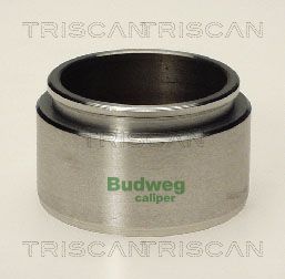 Tłoczek, zacisk hamulca TRISCAN 8170 234801
