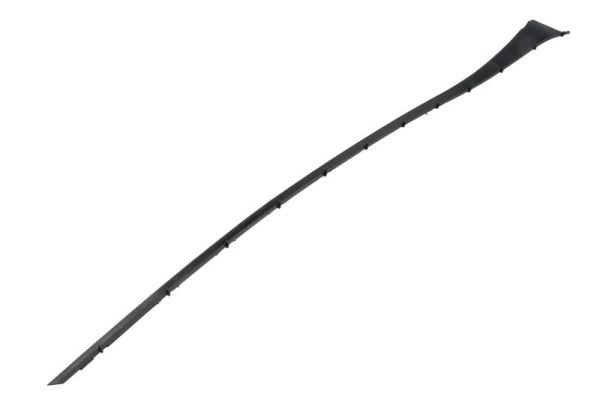 Elemente decorative/protectie, parbriz BLIC 5703-04-6037370Q